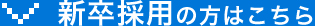 新卒採用の方はこちら